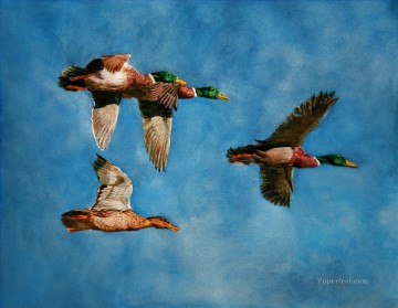 花 鳥 Painting - マガモが飛んでいる水彩の鳥
